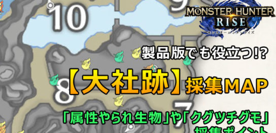 モンハンRISE - 大社跡の採集MAP